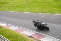 Middle Group Black Bikes
